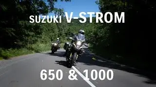 SUZUKI - V-STROM 1000 & 650