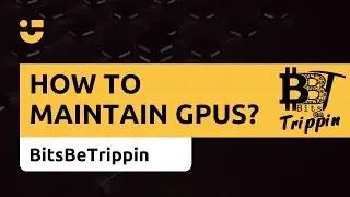 NiceHash + BitsBeTrippin: How often should you clean GPUs?