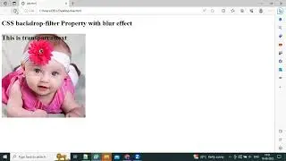 CSS backdrop-filter Property with blur effect