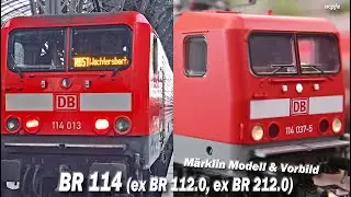 BR 114 (aktuelle DOSTO Eins&auml;tze & neues M&auml;rklin Modell mit Sound -Funktionen)