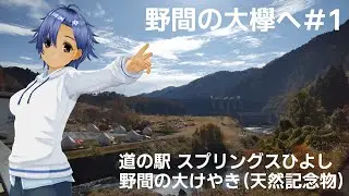 野間の大欅へ＃1　道の駅 スプリンクスひよし～野間の大けやき