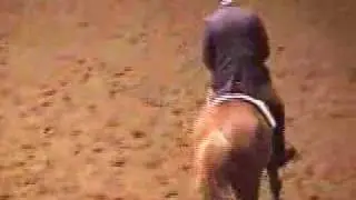 Timely Roberto Working Hunter