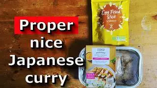 PRICEY! TESCO chicken katsu curry and SAINSBURY instant egg fried rice UK supermarket foodie review