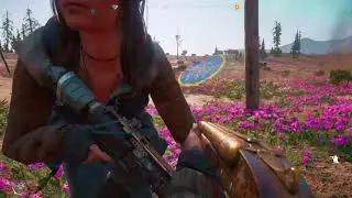 Far Cry: New Dawn, GLITCH and Location on Map