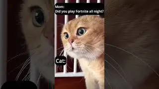 I got caught 🙄🙄🙄 | Fishbuca | #fortnite #fortnitememes #fortnitecommunity