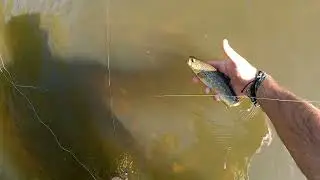 Fly Fishing Camp 2025. Day 1 Fly fishing on the B&oacute;br River.