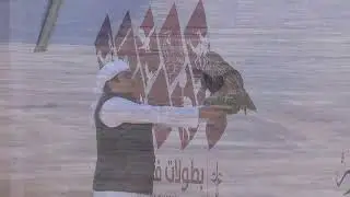 كاس محمد بن راشد لسباقات الصقور - العامة ملاك- بيورجير