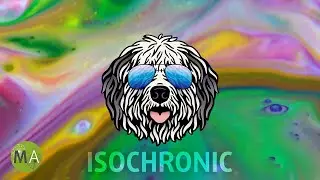 Upbeat Study Music House (Sheepdog Mix) for Peak Focus with Beta Isochronic Tones