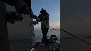 Оставался на улице до самого захода солнца 🌙 🎣 #Окунь #FishShimano