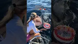 Spent My Birthday With My Shark Ohana & My @juansharks 🦈💙🎂#birthday #shark #dive #ohana #a