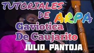 Gaviotica De Caujarito-Julio Pantoja Arpa Tutorial