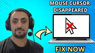 🔥 Lost Mouse Cursor on Windows 10/11? Get It Back in Seconds! (2025)