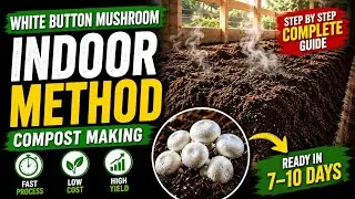 Button Mushroom Compost making | Indoor Method