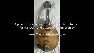The Meelick Team - a jig in E Dorian composed by Eddie Kelly, tabbed and played by Aidan Crossey
