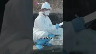 Rubber Plumbing Seals Can Leach Toxic Additives into Drinking Water