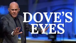 Dove's Eyes