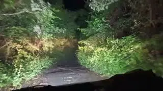 कोकणातील रात्रीची जंगल सफारी | बिबट्या दिसला पण मोबाईल मध्ये capture झाला नाही | night jungle safari