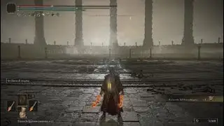 Se&ntilde;ordragon Placidusax antes del DLC (66 Dahablis restantes)