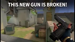 Skill Issue or This New Gun?