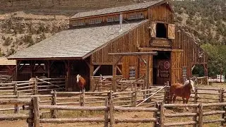 Beautiful story about Amber Marshall| Amy Fleming