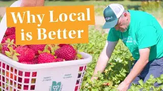 Farm to Table | Berry Growers of Ontario