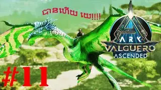 សត្វនៅក្នុងពិភព Avartar មួយនេះពិតជាមិនមែនងាយស្រួលតាមចាប់ទេ។ (How to tame Drakara)
