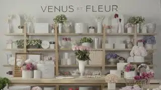 More Than Roses | Venus et Fleur