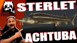 Russian Fishing 4 - Sterlet - Achtuba, Sterlet Spot, Grundangeln