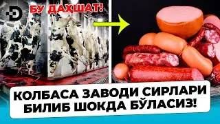 ШООК! КОЛБАСА ҚАНДАЙ ИШЛАБ ЧИҚАРИЛИШИНИ КЎРИНГ!