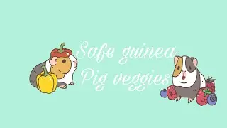 Safe guinea pig veggies-2020