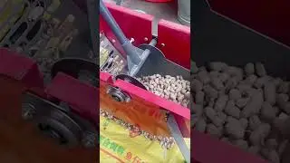 Simple farming tool for peeling peanuts #farming #satisfying #shorts