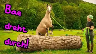 Was für eine Überraschung! 🦄 Bae dreht völlig durch!!!