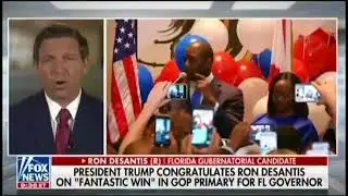 Ron DeSantis Monkey This Up Statement