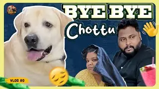 End'ல சும்மா கதற கதற  Chottu கொடுத்த Twist 🤪😂| Chottu: Good Boy or Bad Boy🤔 | Volg 80
