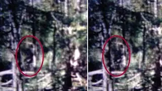 Honey Island Swamp Monster - Harlan Ford's Super 8mm Film