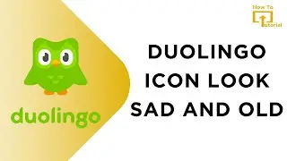 Why Does The Duolingo Icon Look Sad And Old