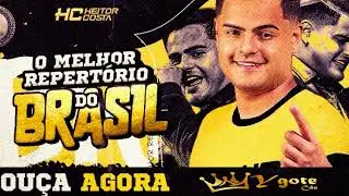 HEITOR COSTA O MELHOR REPERT&Oacute;RIO DO BRASIL - CD ATUALIZADO M&Uacute;SICAS NOVAS 2025 - ARROCHA PRA PARED&Atilde;O