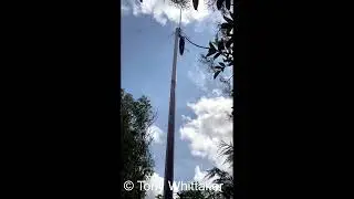 My new Diamond X50 2m 70cm dual band antenna - initial test pole mount