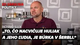 Richard Sul&iacute;k: Fico je ekonomick&yacute; diletant, ktor&yacute; v živote nič nerobil, len žil z dan&iacute; ľud&iacute;