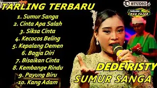 DEDE RISTY FULL ALBUM 2024 Terbaru sumur Sanga - Cinta Apa Salah