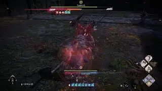 Wo Long: Fallen Dynasty(Gan Ning: Rematch, Heavenly Dragon(NG+++))
