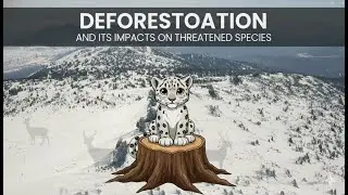 Deforestation and its impacts on threatened species of your state/country