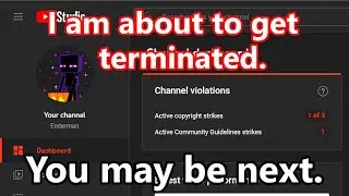 I NEED YOUR HELP - YouTube Wants To Terminate My Channel