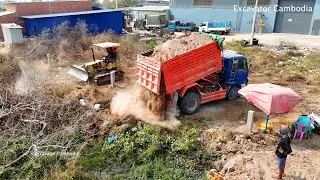 5 Ton Truck And Komatsu D20P Dozer Working Moving Soil Filling Making Foundation House 10 X 25 Meter