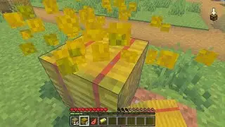 My new server