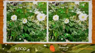 Spot the Difference Template Gameplay UE4 Marketplace