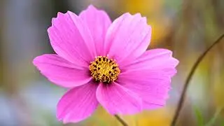 Best of Dramatic Dolby Vision 8K HDR 240 fps Video - Dolby Atmos