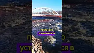 Лосевские пороги - самые крупные искусственные пороги в Европе #история #интересныефакты #river