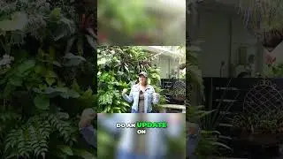 Vertical Garden Update: Answering Your Questions & Seeing Big Impact!