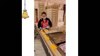 Workforce Development | Super Skilled People | Most Amazing Top 10